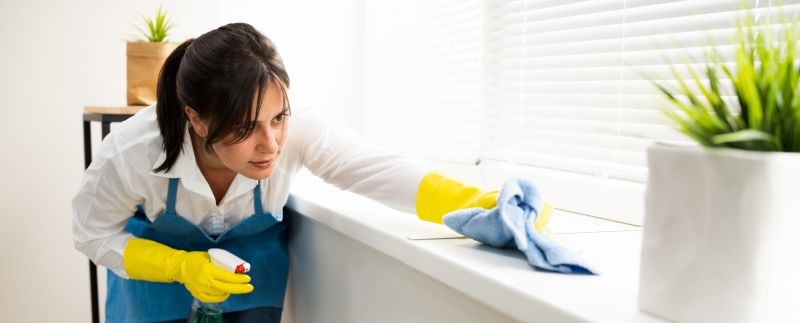 Business Cleaning Service detail
