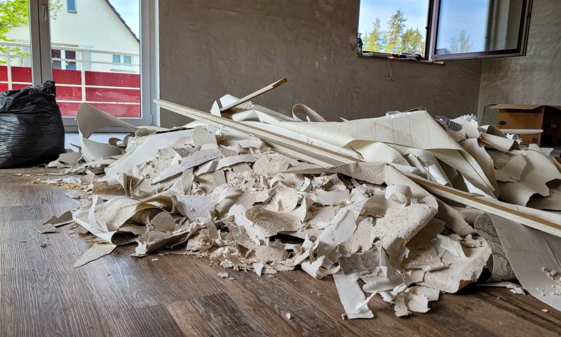 Construction Debris Cleanup detail